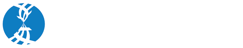 Nitznetz Logo